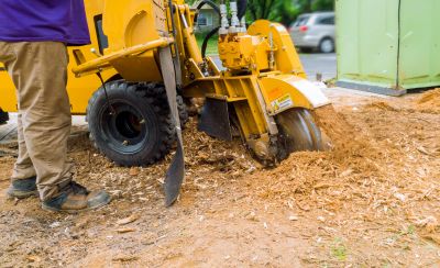 Stump Grinding Service