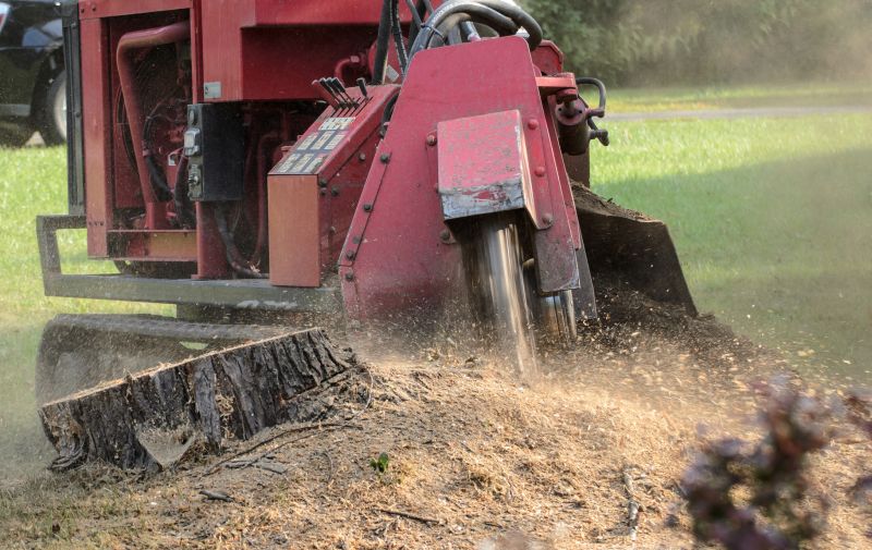 Tree Root Grinding