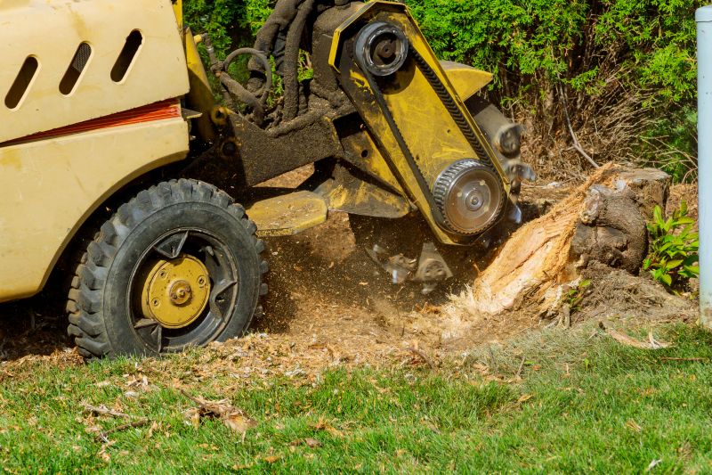 Tree Root Grinding