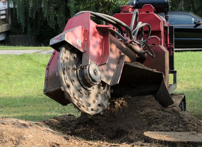 Tree Stump Removal