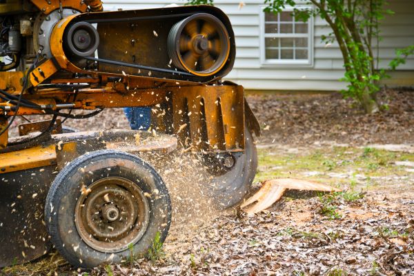 Grow your Tree Stump Removal business